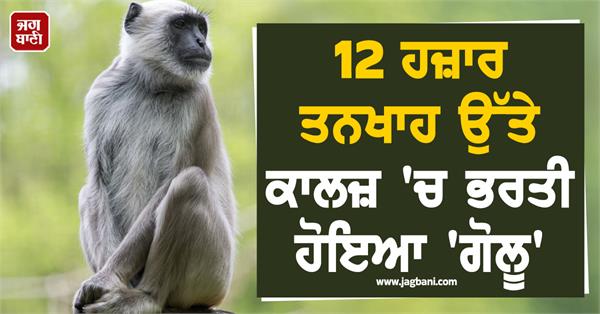 golu got admitted to the college on a salary of rs  12 thousand