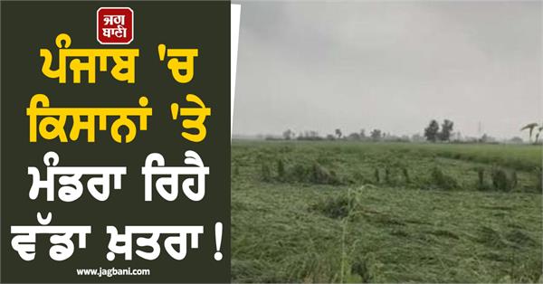 a big threat looms over farmers in punjab experts have warned