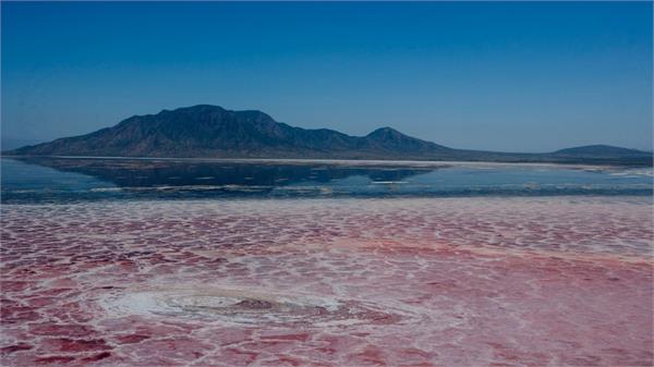 the water of this river turns the living and the dead into stone 