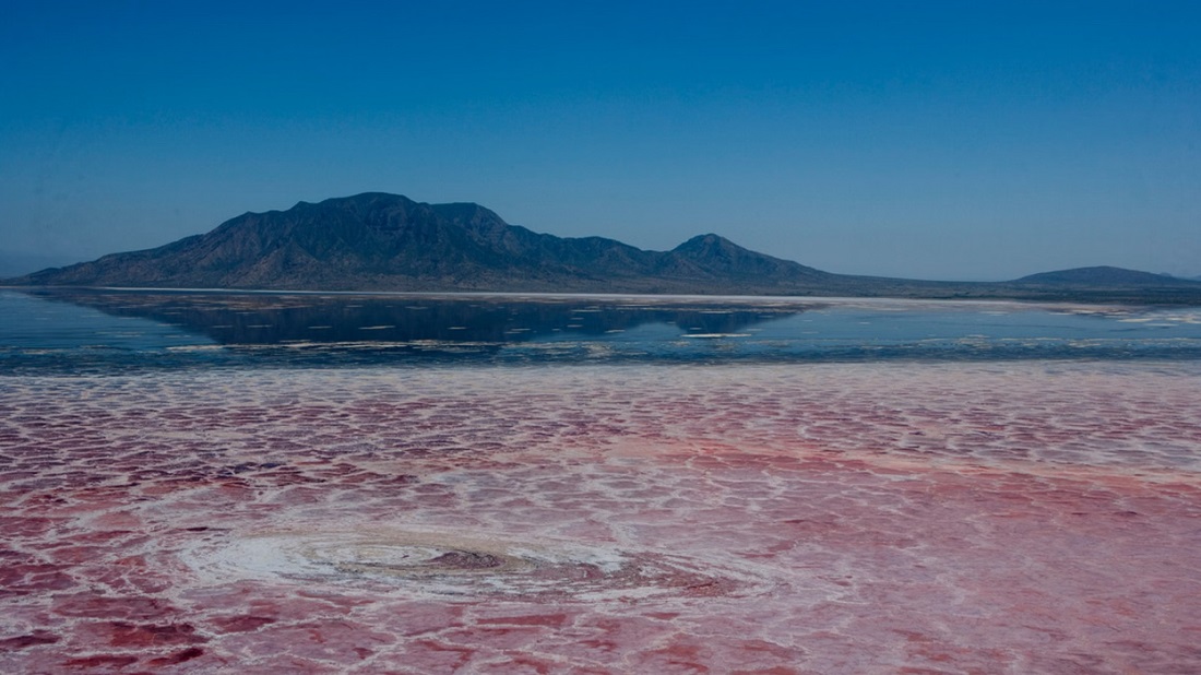 ਹੈਂ..! ਜਿਊਂਦੇ-ਜਾਗਦਿਆਂ ਨੂੰ ਪੱਥਰ ਬਣਾ ਦਿੰਦੈ ਇਸ ਨਦੀ ਦਾ ਪਾਣੀ, ਜਾਣੋ ਕੀ ਹੈ ਇਸ ਪਿੱਛੇ ਦੀ ''ਕਹਾਣੀ''