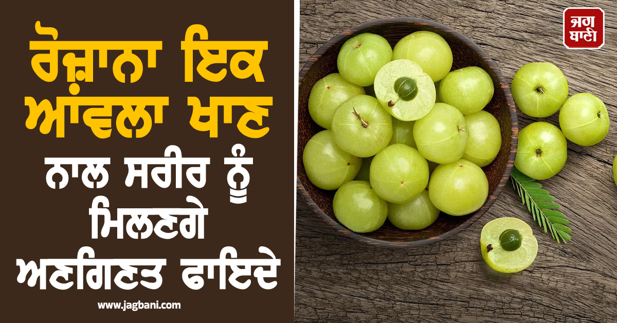 ਗੁਣਾਂ ਦਾ ਖ਼ਜ਼ਾਨਾ ਹੈ ''ਆਂਵਲਾ''! ਰੋਜ਼ਾਨਾ ਇਕ ਆਂਵਲਾ ਖਾਣ ਨਾਲ ਸਰੀਰ ਨੂੰ ਮਿਲਣਗੇ ਅਣਗਿਣਤ ਫਾਇਦੇ