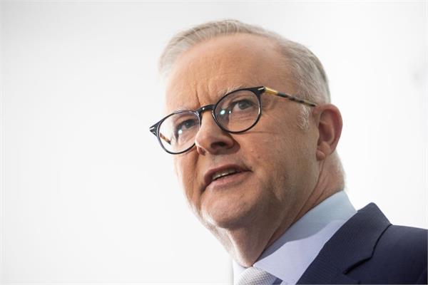 albanese supports ceasefire  criticizes trump