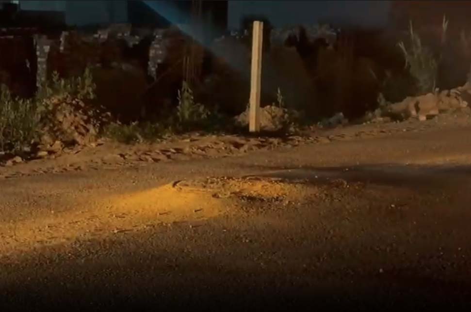 ਗੁਰਦੁਆਰਾ ਸ੍ਰੀ ਬੇਰ ਸਾਹਿਬ ਮਾਰਗ ''ਤੇ ਵਾਪਰਿਆ ਦਰਦਨਾਕ ਹਾਦਸਾ, ਬਜ਼ੁਰਗ ਮਹਿਲਾ ਦੀ ਮੌਤ