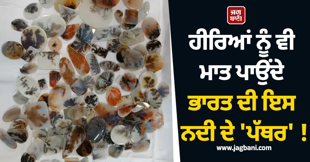 ਹੀਰਿਆਂ ਨੂੰ ਵੀ ਮਾਤ ਪਾਉਂਦੇ ਭਾਰਤ ਦੀ ਇਸ ਨਦੀ ਦੇ 'ਪੱਥਰ' ! ਦੇਸ਼ਾਂ-ਵਿਦੇਸ਼ਾਂ ਤੋਂ ਆਉਂਦੀ ਹੈ ਡਿਮਾਂਡ, ਜਾਣੋ ਕੀ ਹੈ ਖ਼