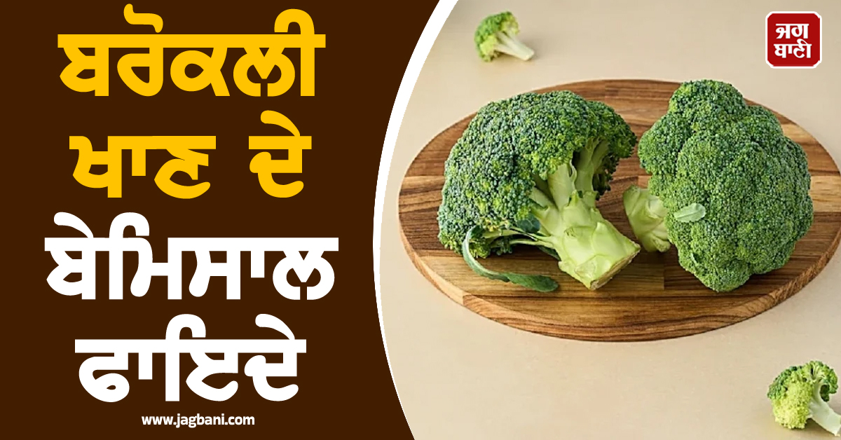 ਕੈਂਸਰ ਰਹੇਗਾ ਕੋਹਾਂ ਦੂਰ ਤੇ ਅੱਖਾਂ ਦੀ ਰੋਸ਼ਨੀ ਵੀ ਹੋਵੇਗੀ ਤੇਜ਼, ਜਾਣੋ ਬਰੋਕਲੀ ਖਾਣ ਦਾ ਕੀ ਹੈ ਸਹੀ ਤਰੀਕਾ ਤੇ ਬੇਮਿਸਾ