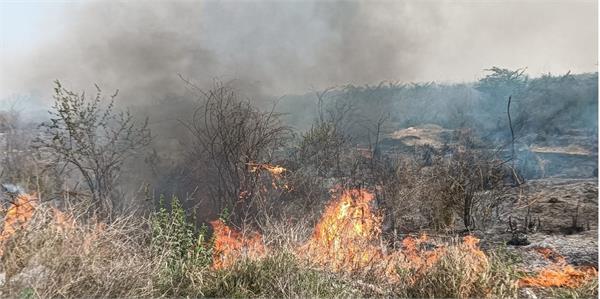fire in faridkot