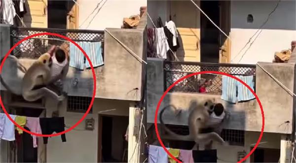 balcony hanging children monkey life saved