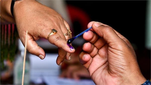 haryana  municipal corporation elections  dates announced