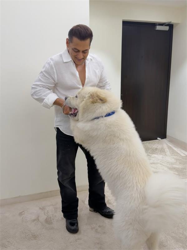 salman khan shares special glimpses with his dearest companion