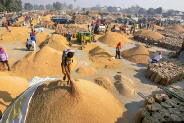wheat arrival in punjab crosses 100 lakh tonnes