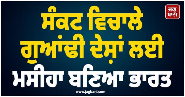 neighboring countries  india  oil and gas supply  delhi  south asia