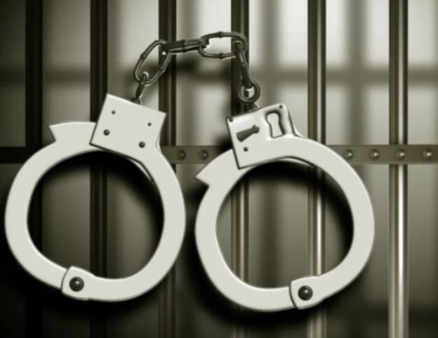 ਦਿੱਲੀ ਏਅਰਪੋਰਟ ''ਤੇ ਫੜੇ ਗਏ 4 ਭਾਰਤੀ ! ਖੋਲ੍ਹੇ ਬੈਗ ਤਾਂ ਕਸਟਮ ਅਧਿਕਾਰੀਆਂ ਦੇ ਵੀ ਉੱਡ ਗਏ ਹੋਸ਼