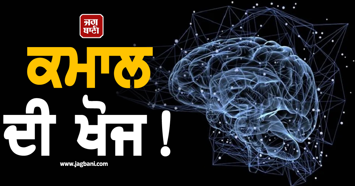 ਕਮਾਲ ਦੀ ਖੋਜ! ਵਿਗਿਆਨੀਆਂ ਨੇ ਬਣਾਇਆ ਦਿਮਾਗੀ ਵਿਕਾਸ ਦਾ ਪਹਿਲਾ 'ਐਟਲਸ'