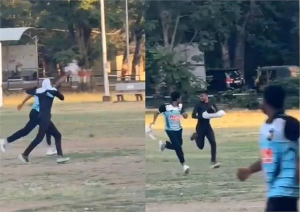 cricket tournament  bee attack  dj  people  injured