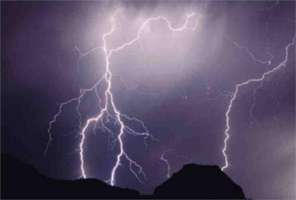 three animals die due to lightning strike