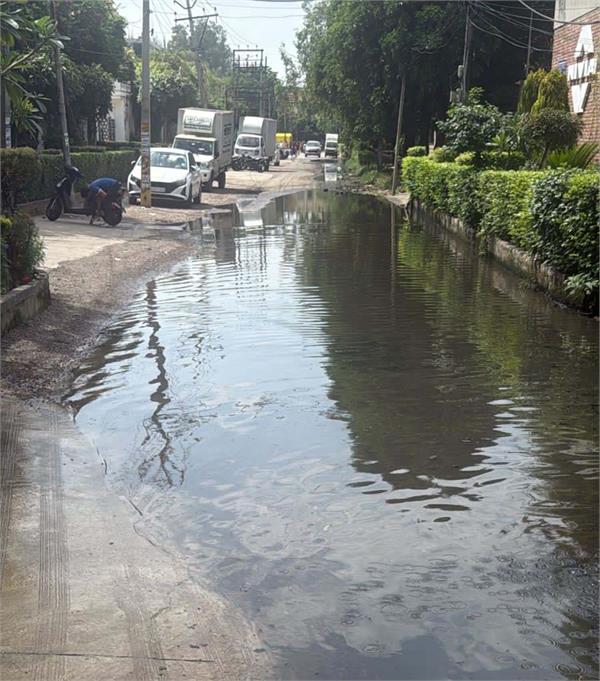 sewerage jam in   leather complex   of west assembly constituency for years