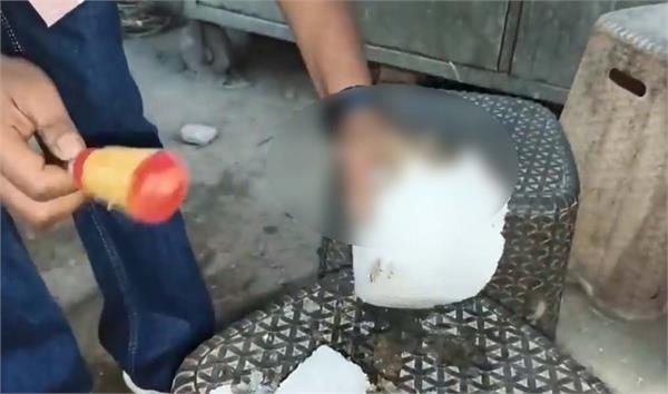 juice center  frog  ice  health