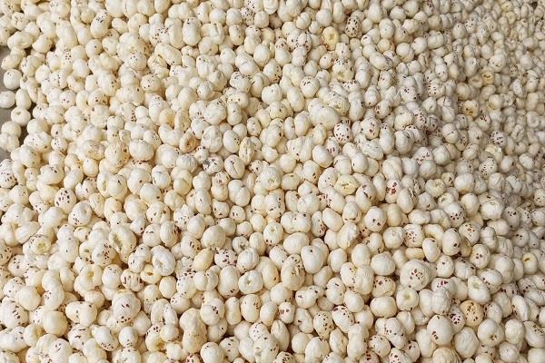 bihar s makhana boosts exports abroad first historic consignment sent