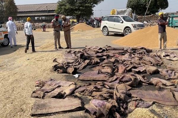 wheat sacks catch fire in khanna  s grain market