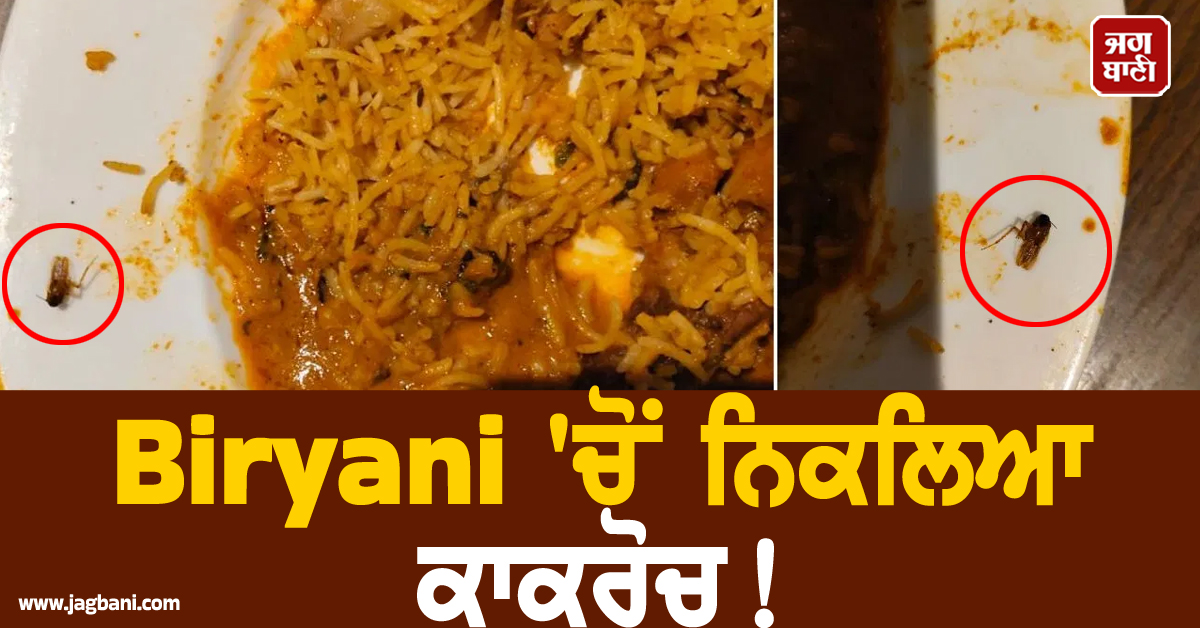 Biryani ''ਚੋਂ ਨਿਕਲਿਆ ਕਾਕਰੋਚ ! ਜਨਮਦਿਨ ਦੀ ਪਾਰਟੀ ''ਚ ਹੋਇਆ ਹੰਗਾਮਾ, ਰੈਸਟੋਰੈਂਟ ਨੂੰ ਲੱਗਾ ਤਾਲਾ