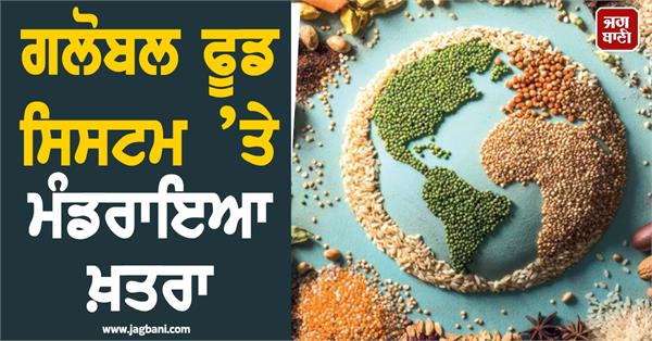 after oil hormuz crisis now affects food global food is in danger