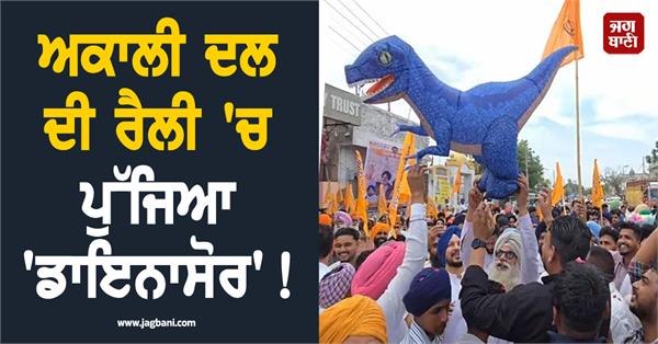 dinosaur arrives at akali dal rally 