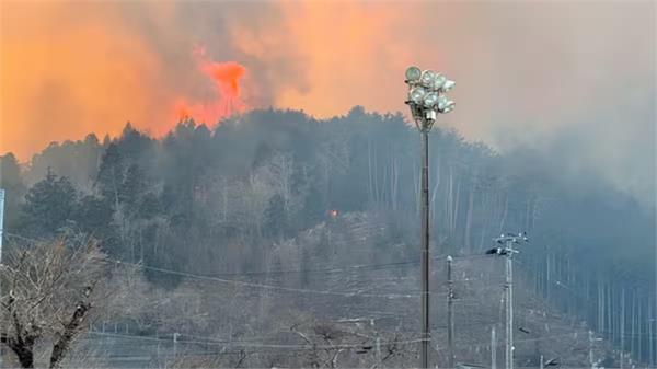 wildfire in japan