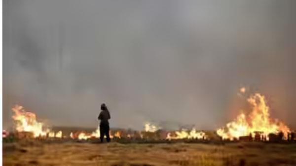 fire breaks out in wheat stored in butter sarinh