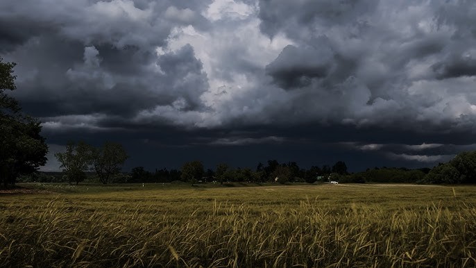 ਪੰਜਾਬ ''ਚ ਲਗਾਤਾਰ 4 ਦਿਨ ਪਵੇਗਾ ਮੀਂਹ! ਹਨ੍ਹੇਰੀ-ਤੂਫ਼ਾਨ ਨੂੰ ਲੈ ਕੇ ਇਨ੍ਹਾਂ ਜ਼ਿਲ੍ਹਿਆਂ ''ਚ Alert ਜਾਰੀ