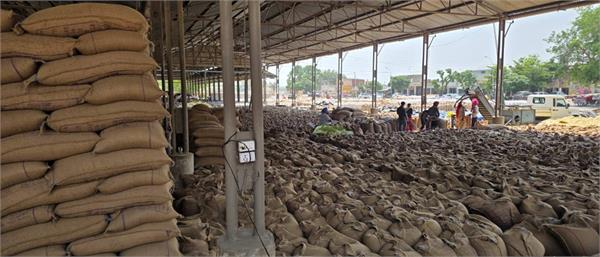 procurement center  crop lifting  wheat sacks