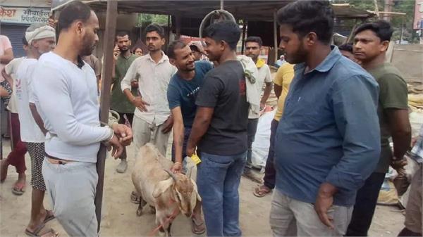 youth brutally beaten up on suspicion of goat theft