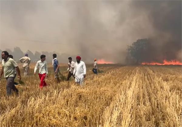 wheat fire  fire in fields