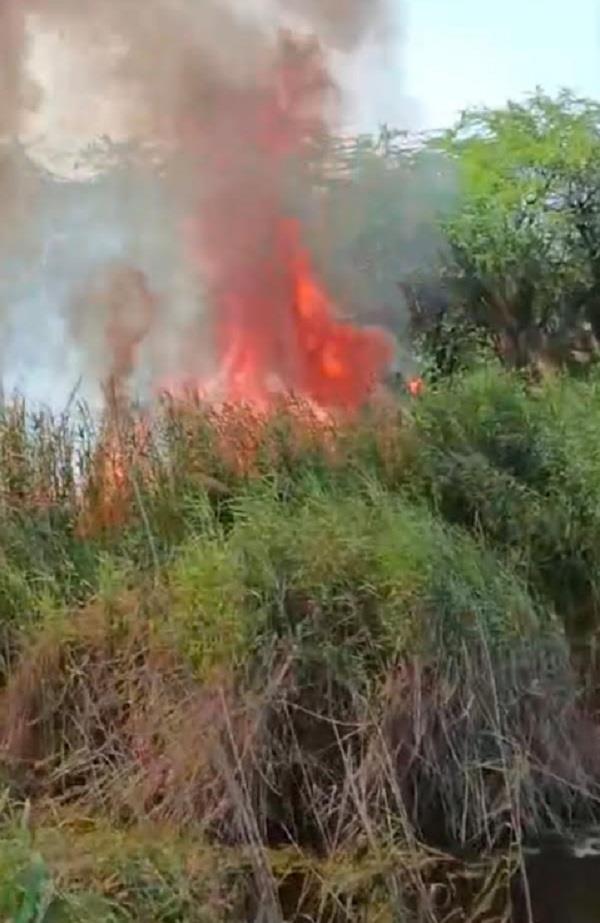 fire started by pakistan enters india