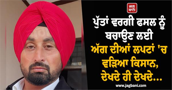 wheat crop crop fire