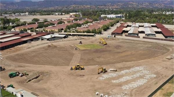 knight riders   home ground will host cricket in olympics