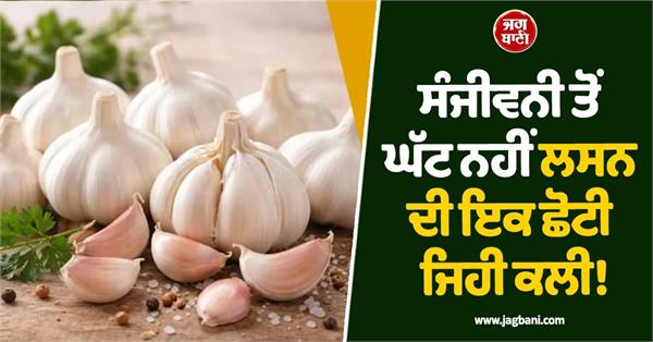 a small clove of garlic is no less than sanjeevani 