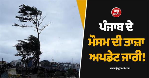 punjab weather raining