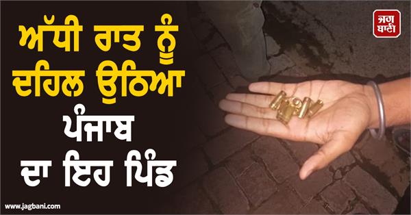 punjab village police