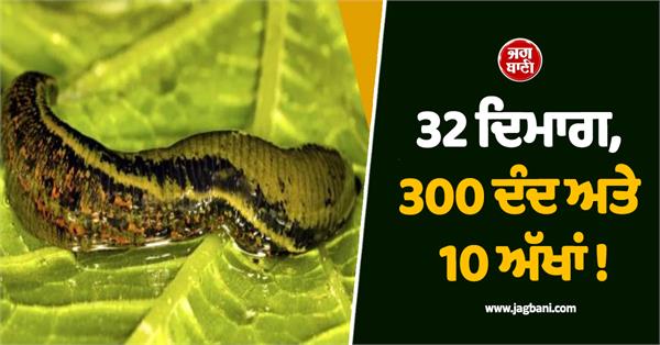 the fascinating story of earth  s most unique creature