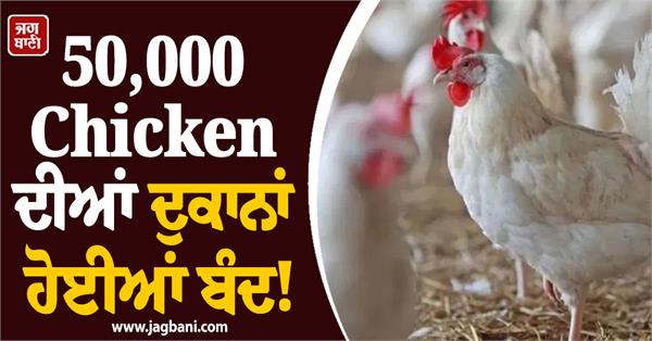 chicken shops shutdown