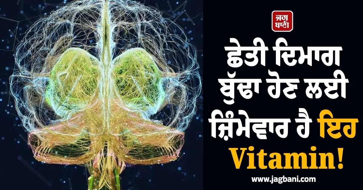 ਇਸ Vitamin ਦੀ ਕਮੀ ਨਾਲ ਛੇਤੀ ਬੁੱਢਾ ਹੋ ਜਾਂਦੈ ਦਿਮਾਗ! 30 ਤੋਂ 40 ਸਾਲ ਵਾਲਿਆਂ ਲਈ ਬੇਹੱਦ ਜ਼ਰੂਰੀ