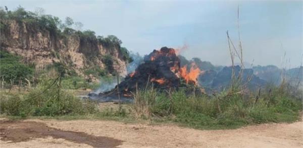 a pile of straw burned to ashes after a fire