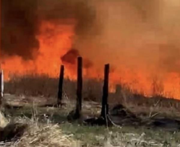 efforts to control wildfire near pemberton airport continue