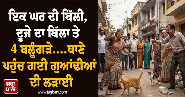 neighborhood feud over kitten parentage