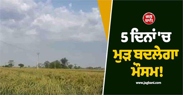 punjab weather changes raining