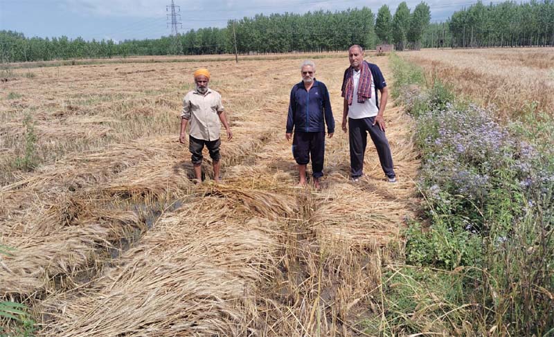 ਮੌਸਮ ਦੀ ਬੇਰੁਖੀ ਕਾਰਨ ਅੰਨਦਾਤਾ ਦੀਆਂ ਮੁਸ਼ਕਿਲਾਂ ਵਧੀਆਂ! ਚਿੰਤਾ ’ਚ ਡੁੱਬੇ ਕਿਸਾਨ