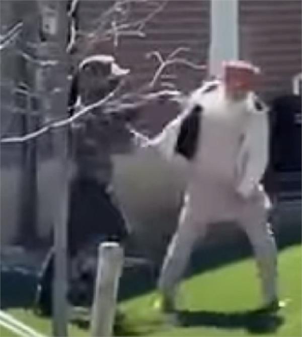 young man who pushed elderly man in canada apologizes