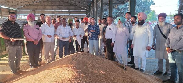 teams sent by the central government collected wheat samples