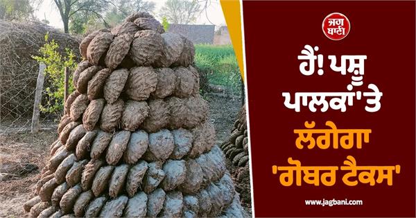 pakistan punjab gobar tax 