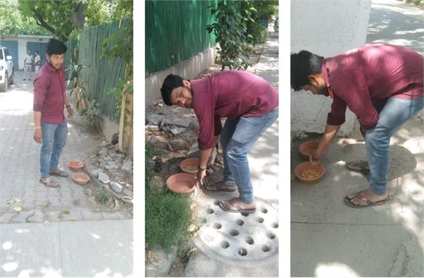 special initiative to help birds in kidwai nagar